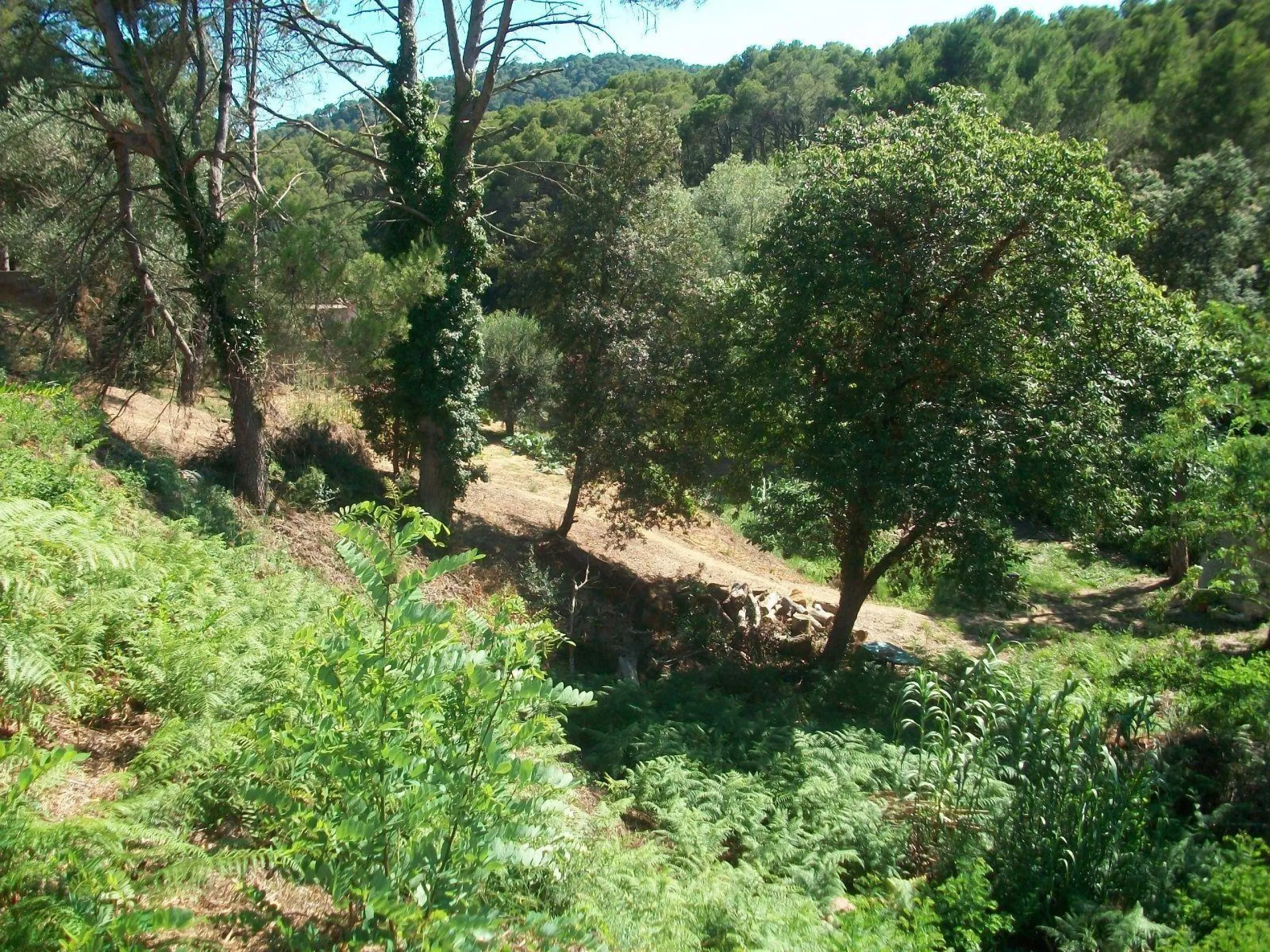 Beautiful Land Plots for Sale in Tamariu, Costa Brava