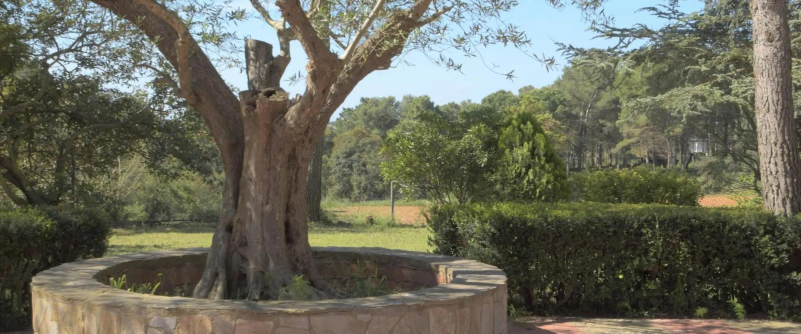 Spacious Family Home Surrounded by Nature in Begur, Costa Brava