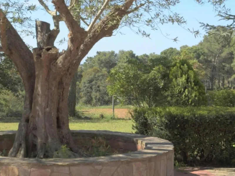 Spacious Family Home Surrounded by Nature in Begur, Costa Brava