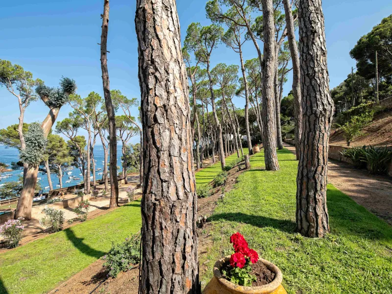 Luxury Villa with Stunning Sea Views in Tamariu, Costa Brava