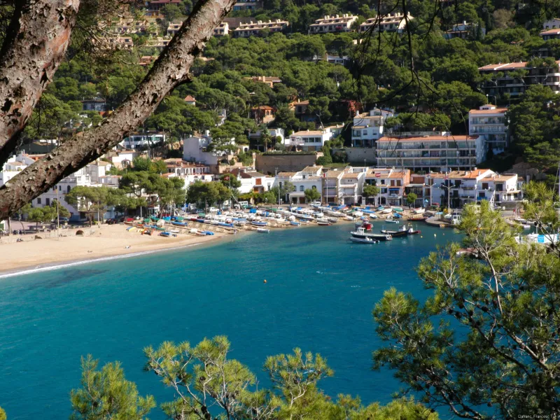 Fantastic Holiday Villa in Llafranc, Costa Brava