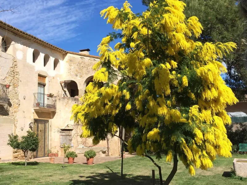 17th century mansion for holidays in Corsa, Costa Brava