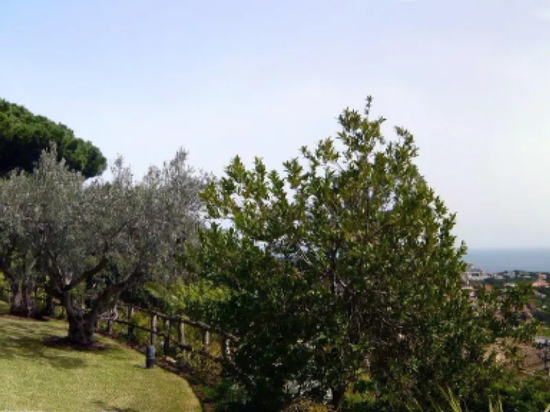 Magnificent Estate With Swimming Pool in Playa d'Aro, Costa Brava