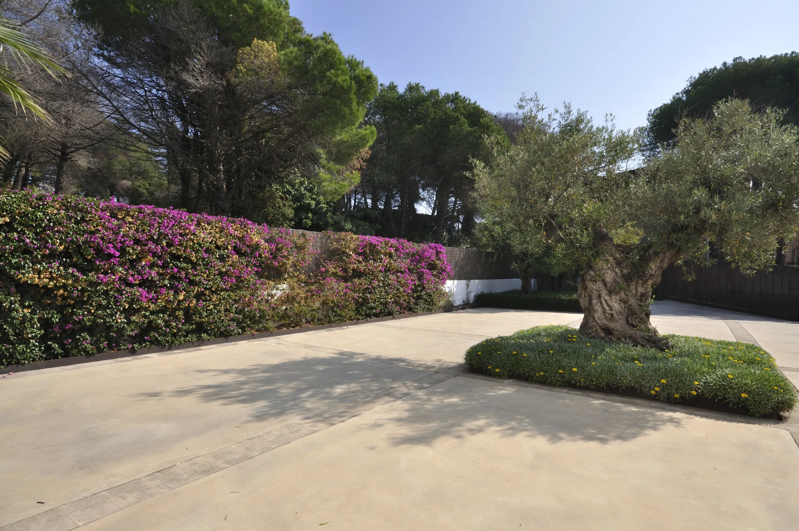Espaciosa casa con piscina en venta en Sant Andreu de Llavaneres, Barcelona