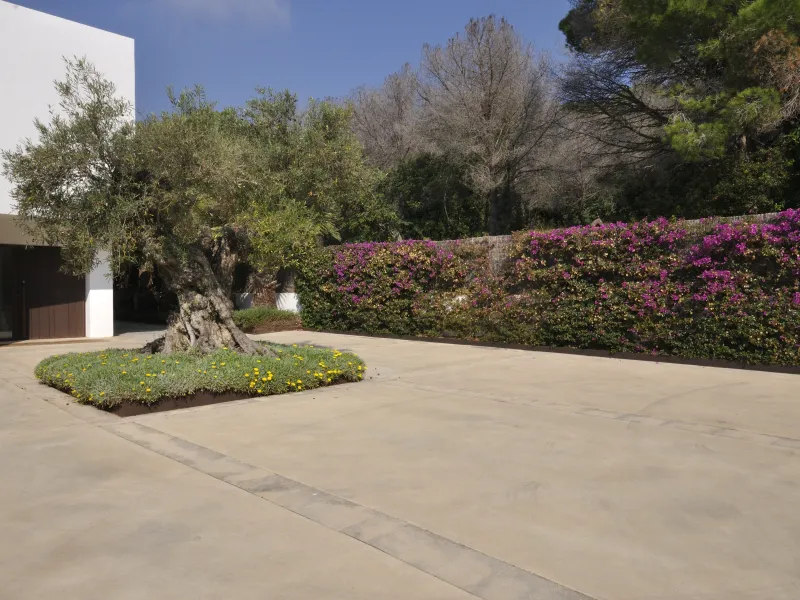 Espaciosa casa con piscina en venta en Sant Andreu de Llavaneres, Barcelona