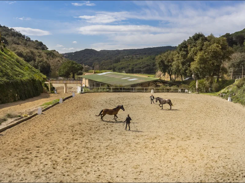 Exclusiva finca ecuestre con instalaciones hípicas en Sant Andreu de Llavaneres, Barcelona