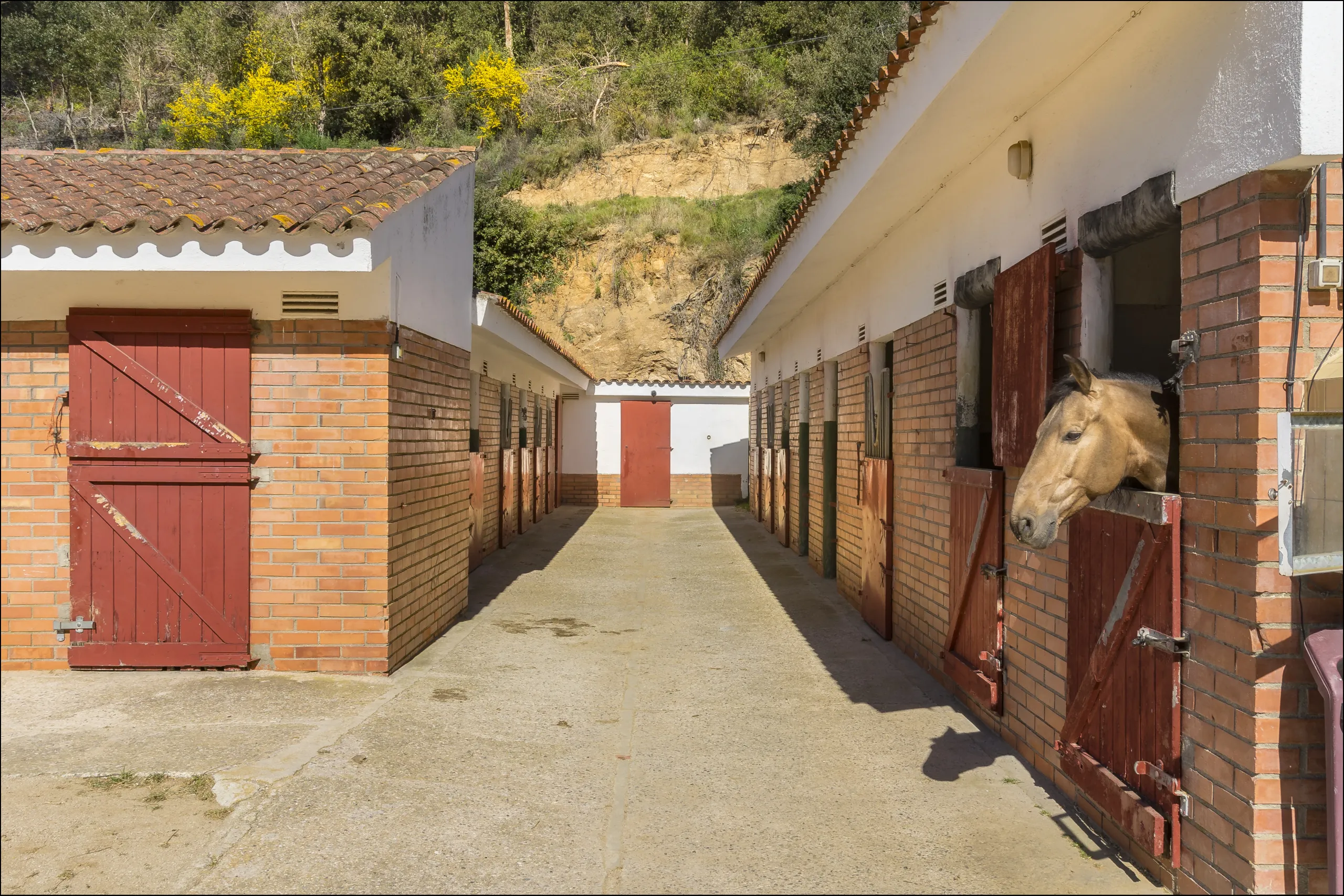 Exclusiva finca ecuestre con instalaciones hípicas en Sant Andreu de Llavaneres, Barcelona