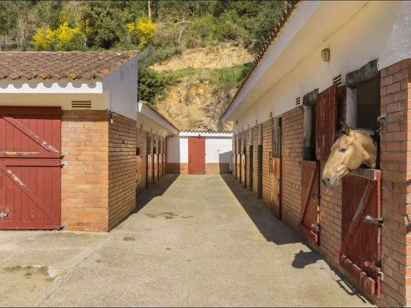 Exclusiva finca ecuestre con instalaciones hípicas en Sant Andreu de Llavaneres, Barcelona