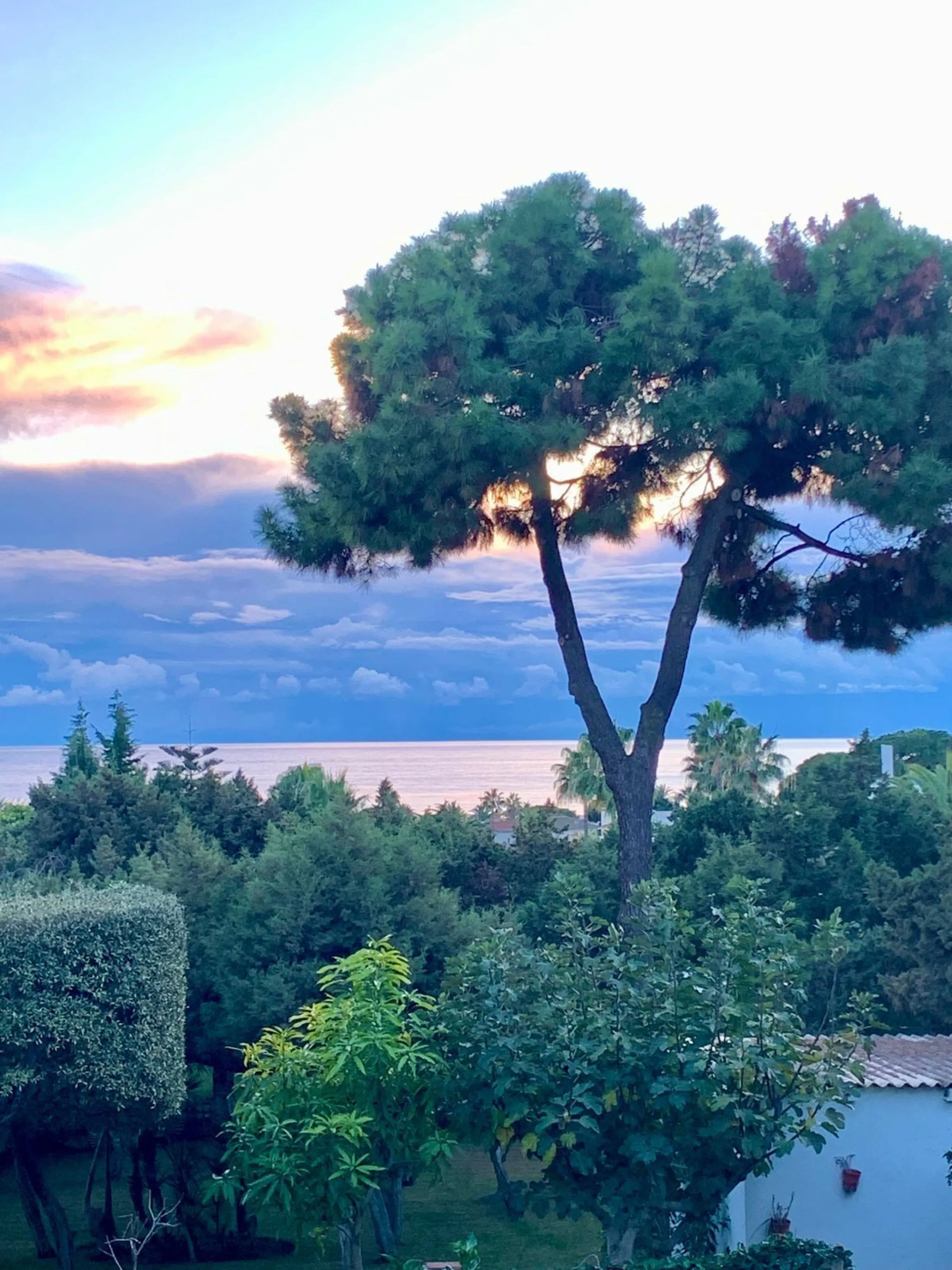 Two adjacent plots with sea views and great development potential