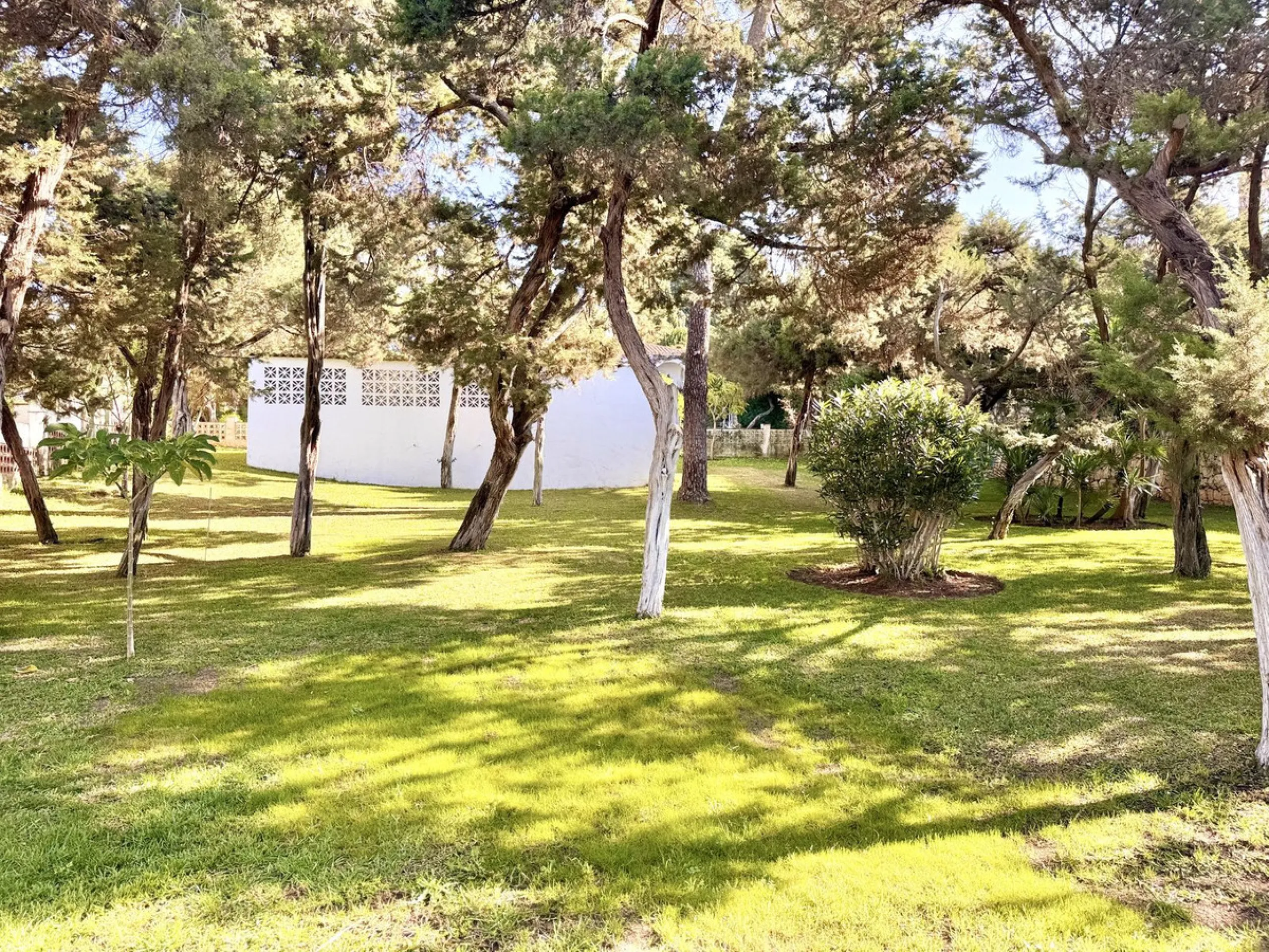 Two adjacent plots with sea views and great development potential