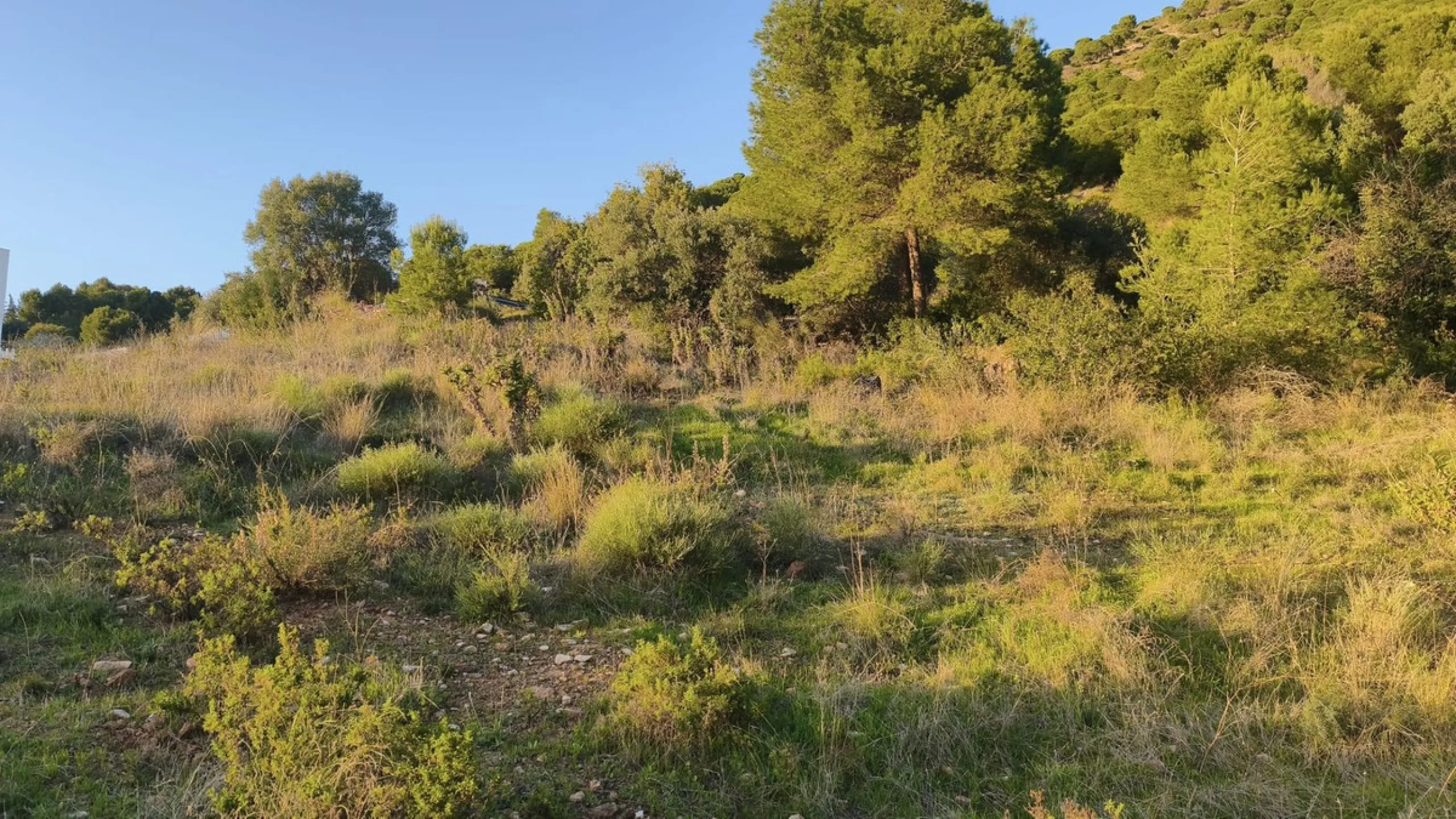 Plot - Residential Plot в продаже в Mijas, Málaga. Площадь дома 890 м². Площадь участка 662 м²