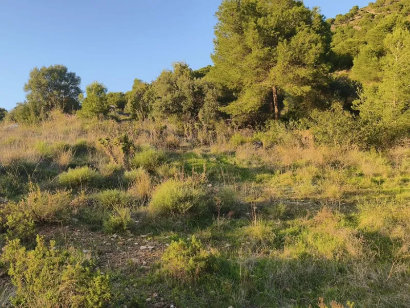 Plot - Residential Plot в продаже в Mijas, Málaga. Площадь дома 890 м². Площадь участка 662 м²