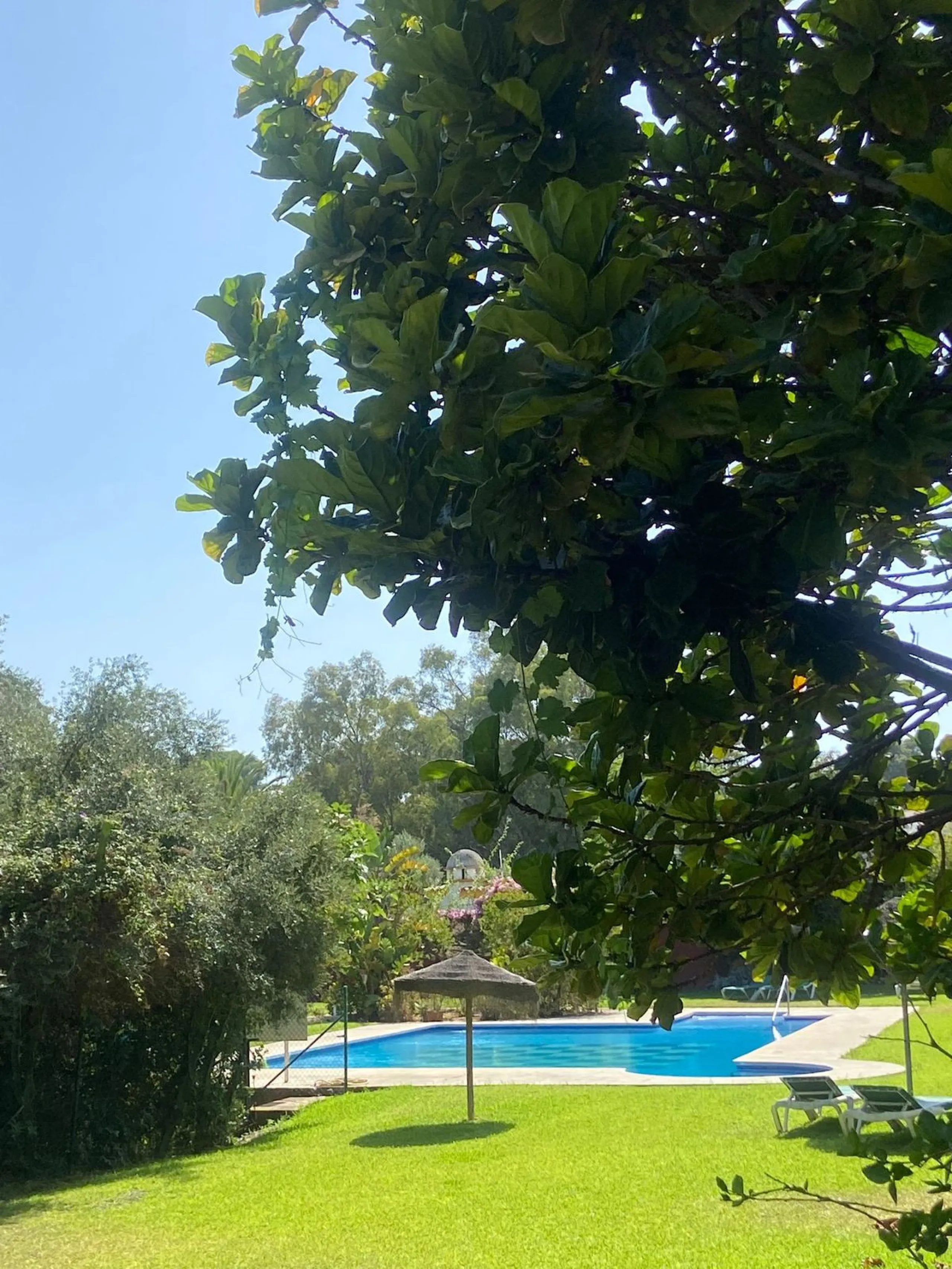 NEW EXCLUSIVE LISTING!!