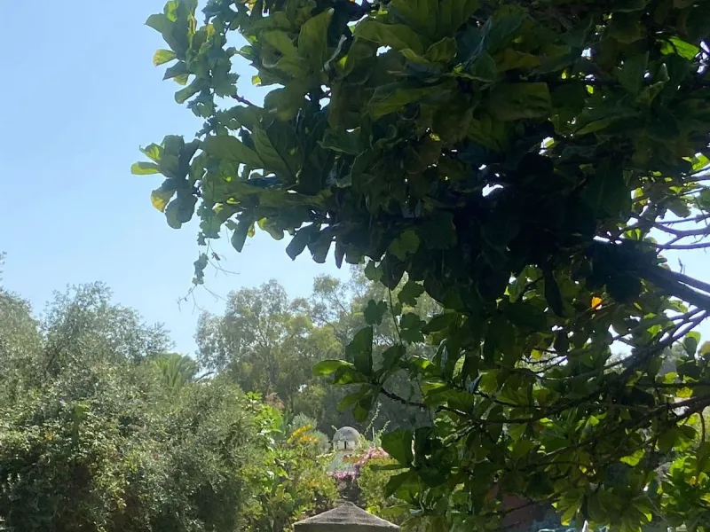 NEW EXCLUSIVE LISTING!!