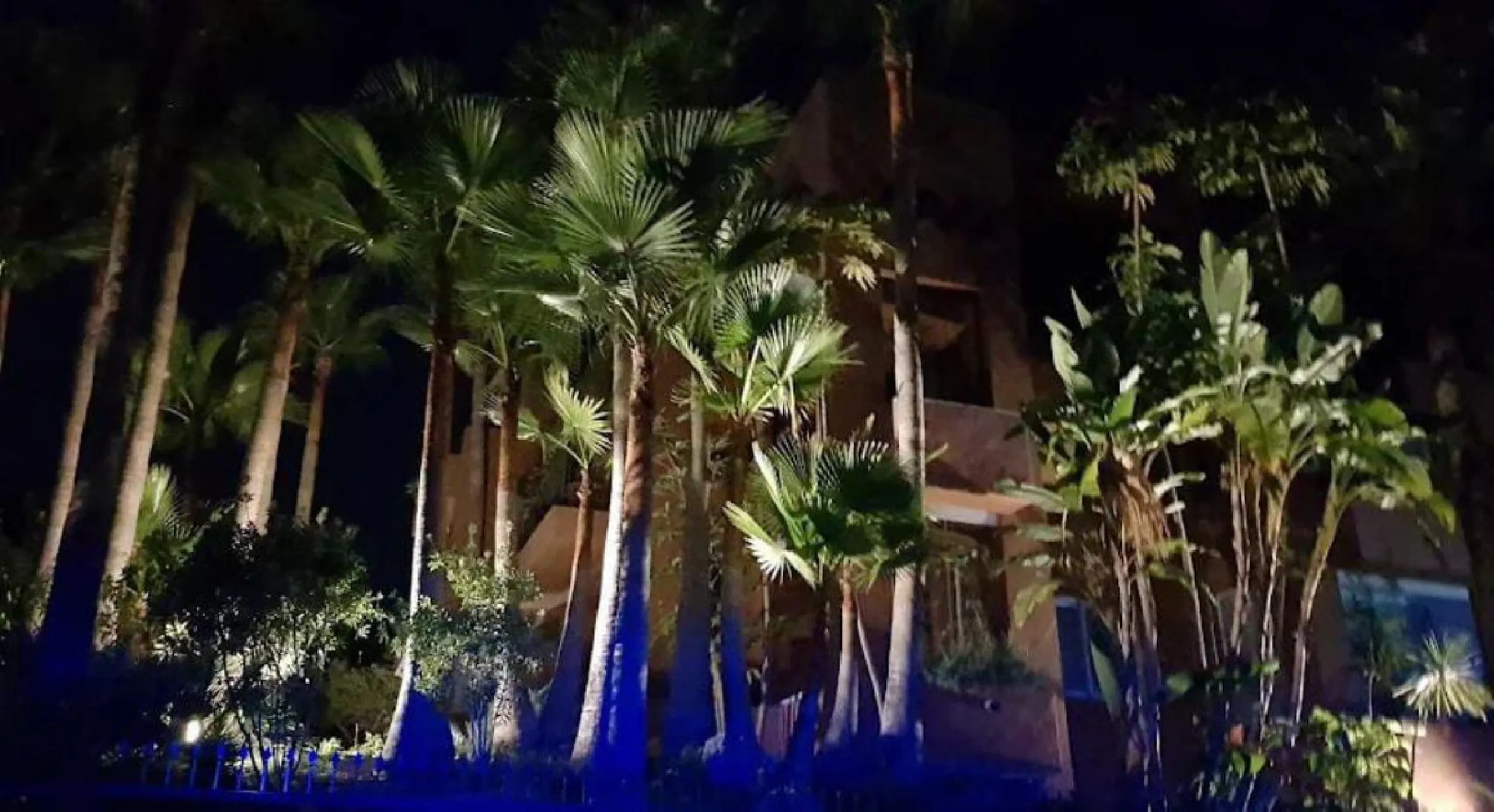 Spectacular duplex penthouse with 3 bedrooms and 3 bathrooms in an exclusive development in Nueva Andalucía, recently renovated combining elegance and comfort, on the main floor there are two spacious bedrooms and two bathrooms, a modern fully equipped ki