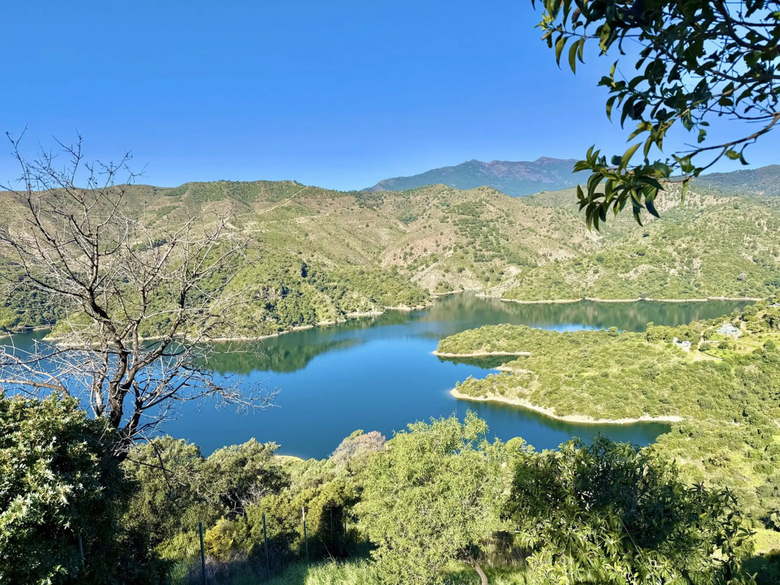 Rustic finca located in the municipality of Istán, set on a 2,028 m² plot. The property features a legally registered house of 70 m², along with a 21 m² porch and a private swimming pool and easy access.