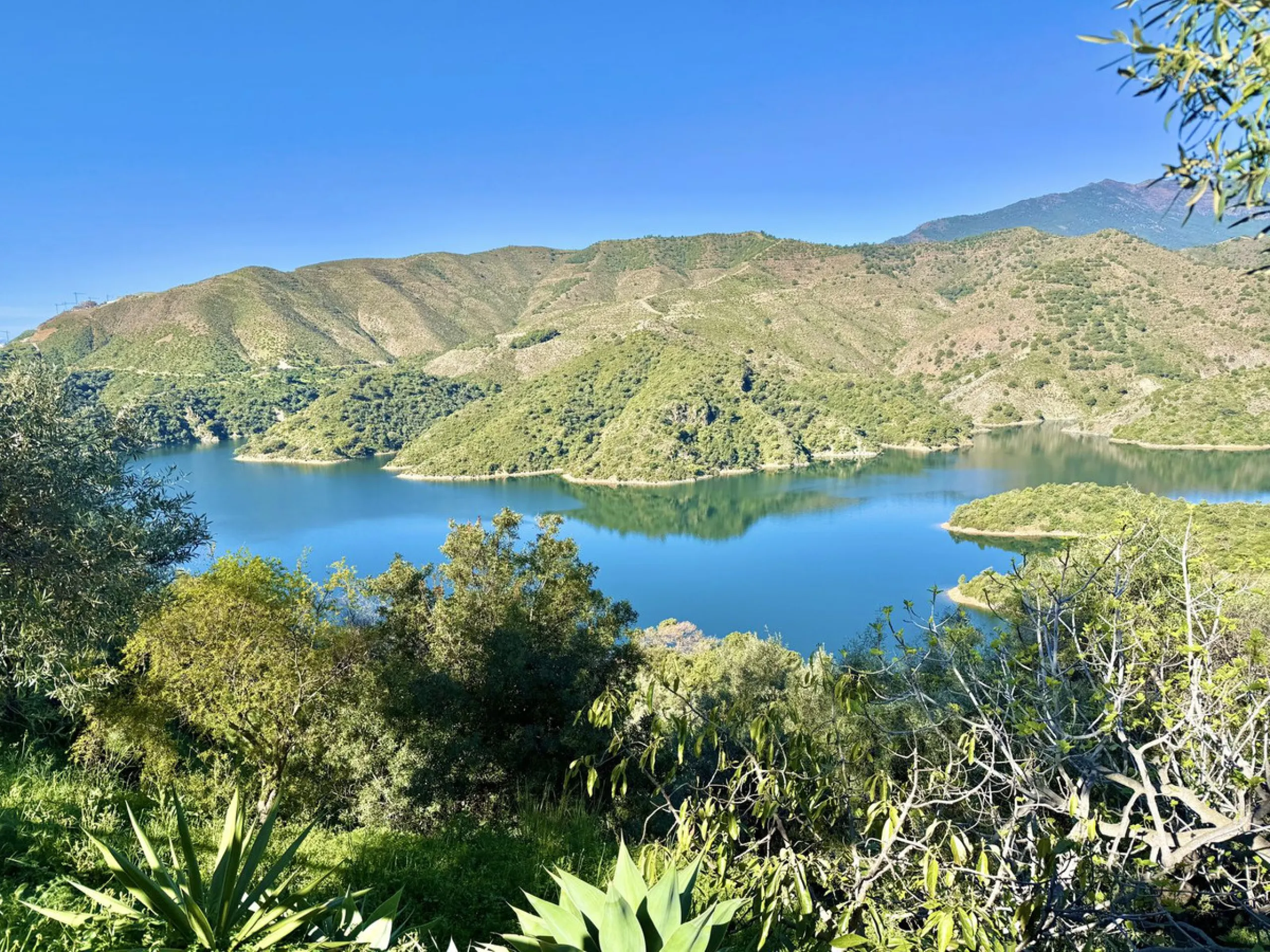 Rustic finca located in the municipality of Istán, set on a 2,028 m² plot. The property features a legally registered house of 70 m², along with a 21 m² porch and a private swimming pool and easy access.
