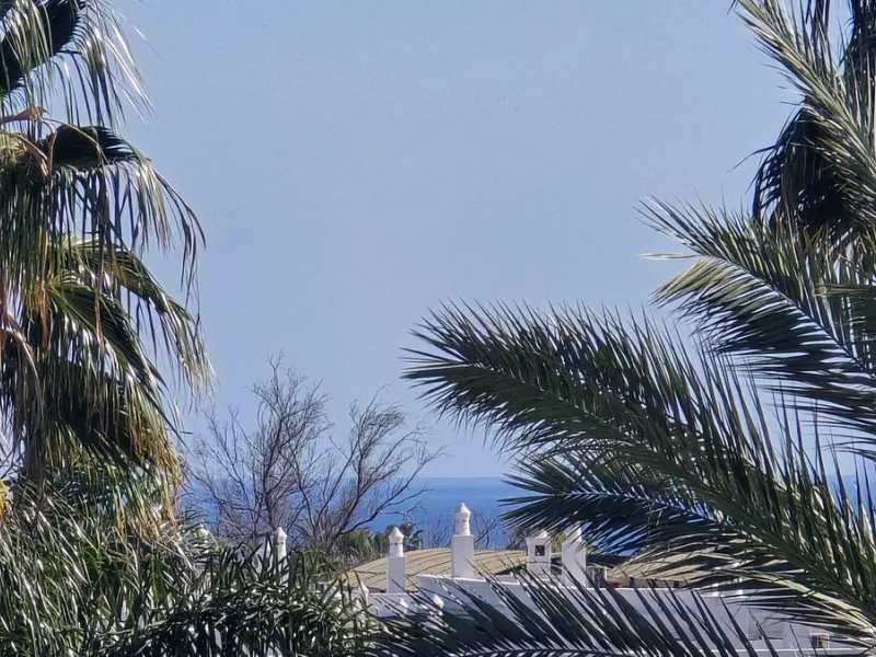 MARBELLA, Nueva Andalucía | South Facing -Top-Floor Apartment | 2 Bed · 2 Bath | Large Sunny Terrace
