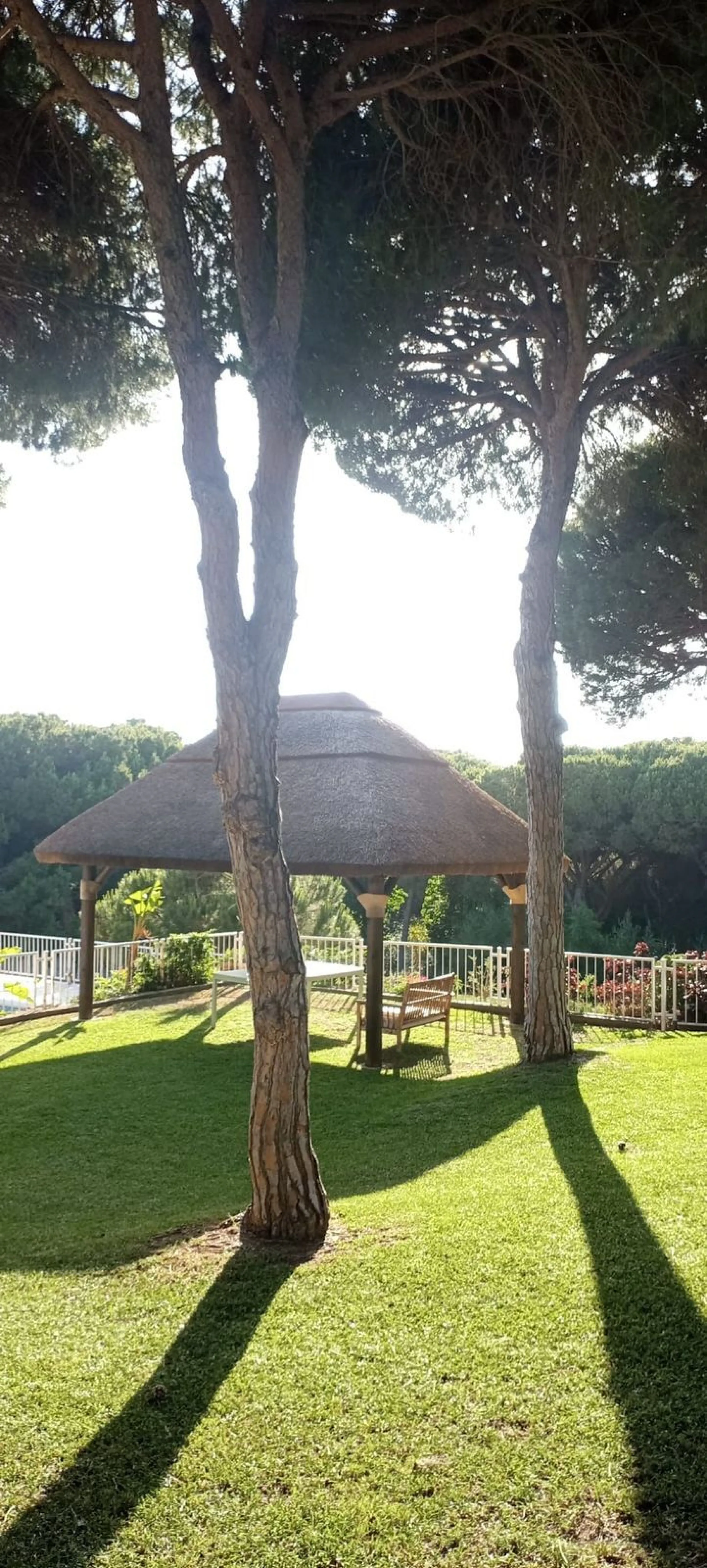 Live the Andalusian Dream with Ibizan Flair by the Sea!