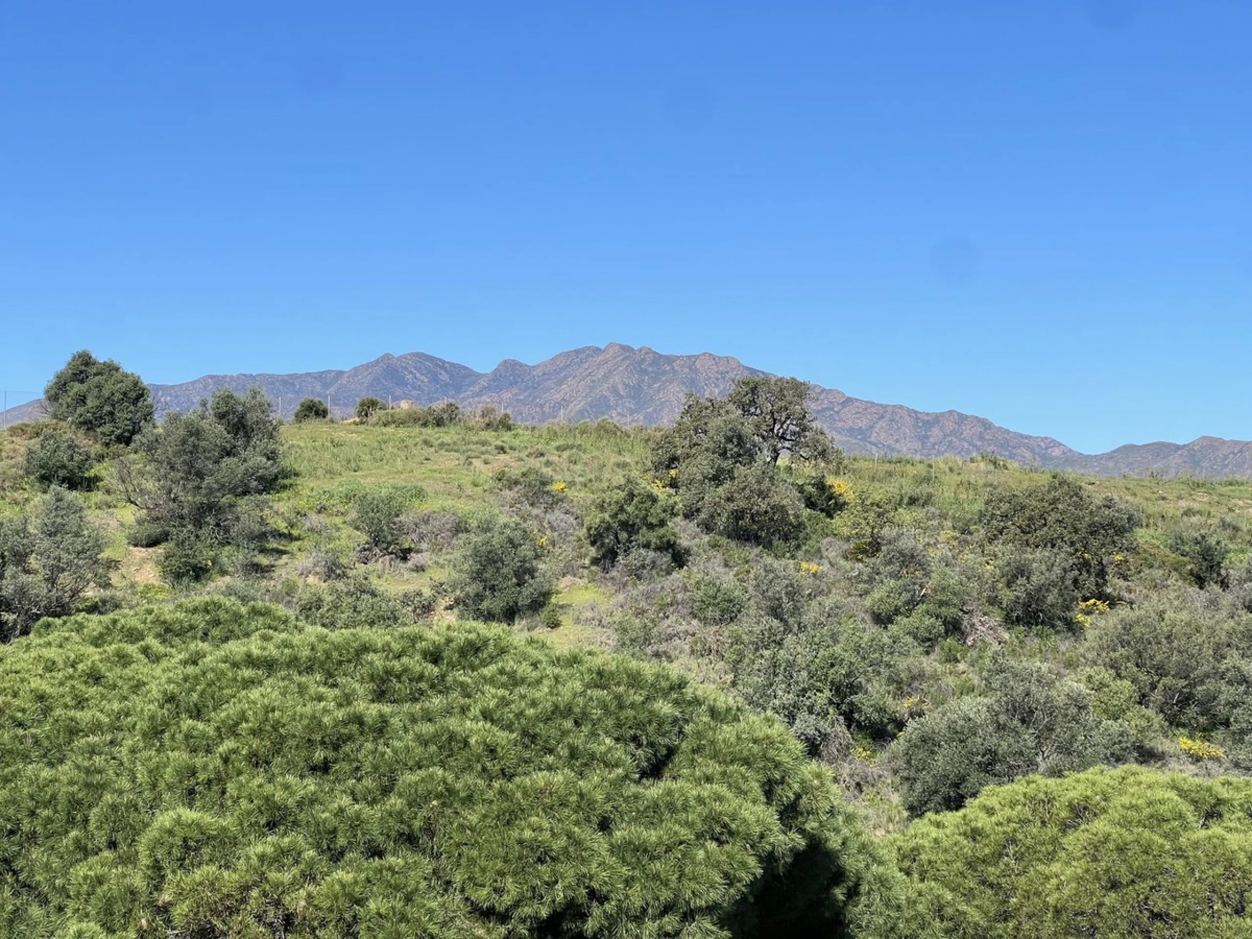 Corner Penthouse with Wraparound Terrace in La Cala Hills