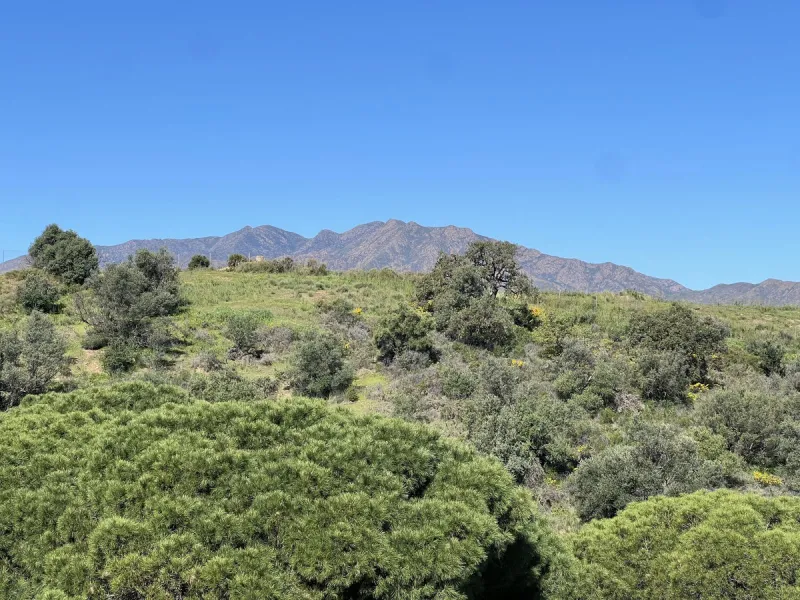Corner Penthouse with Wraparound Terrace in La Cala Hills