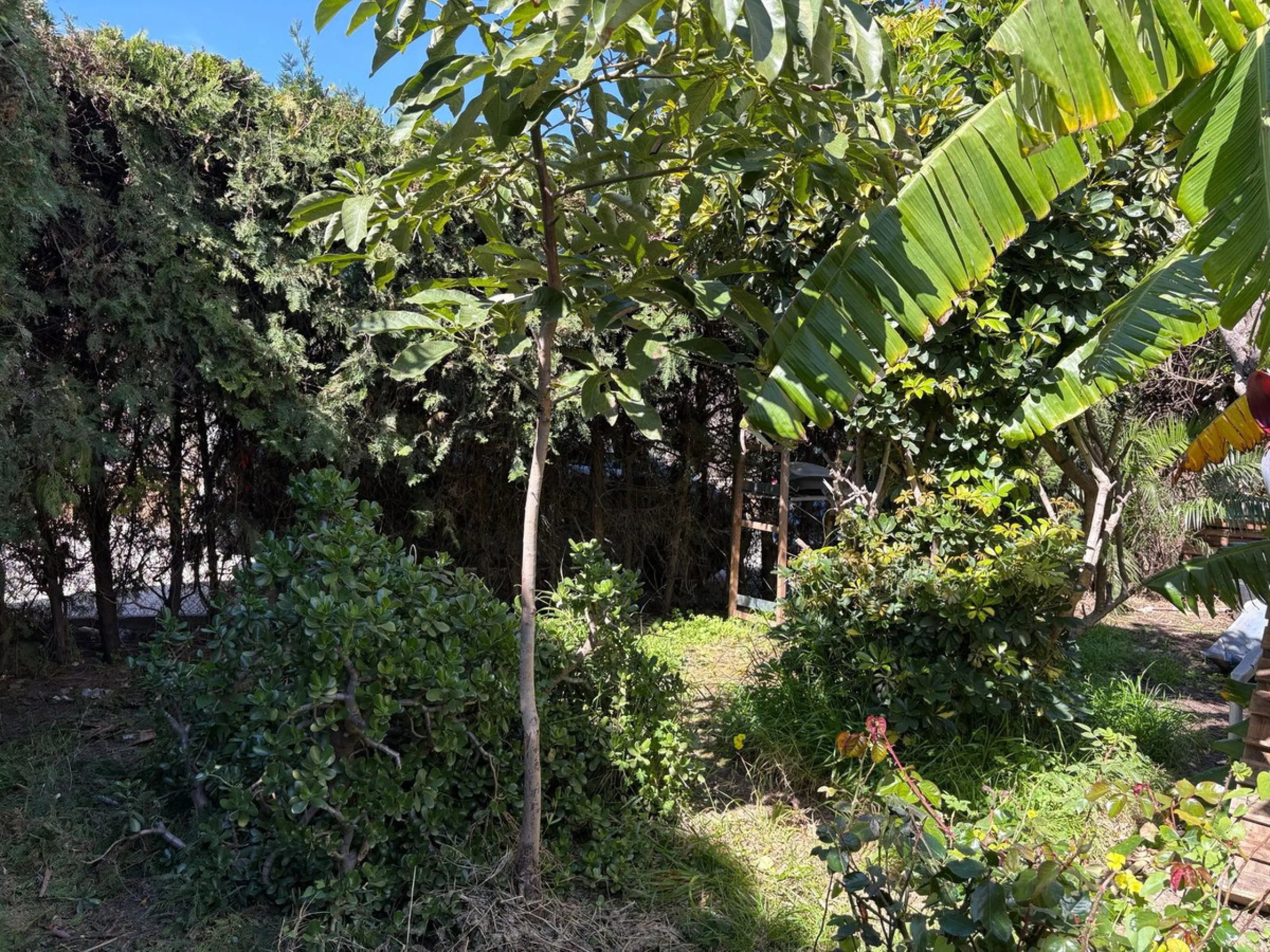Spacious townhouse located in an excellent area of ​​Estepona, just 500 meters from the seafront promenade and the beach, with all amenities within easy walking distance: shops, bars, restaurants, and leisure facilities.
