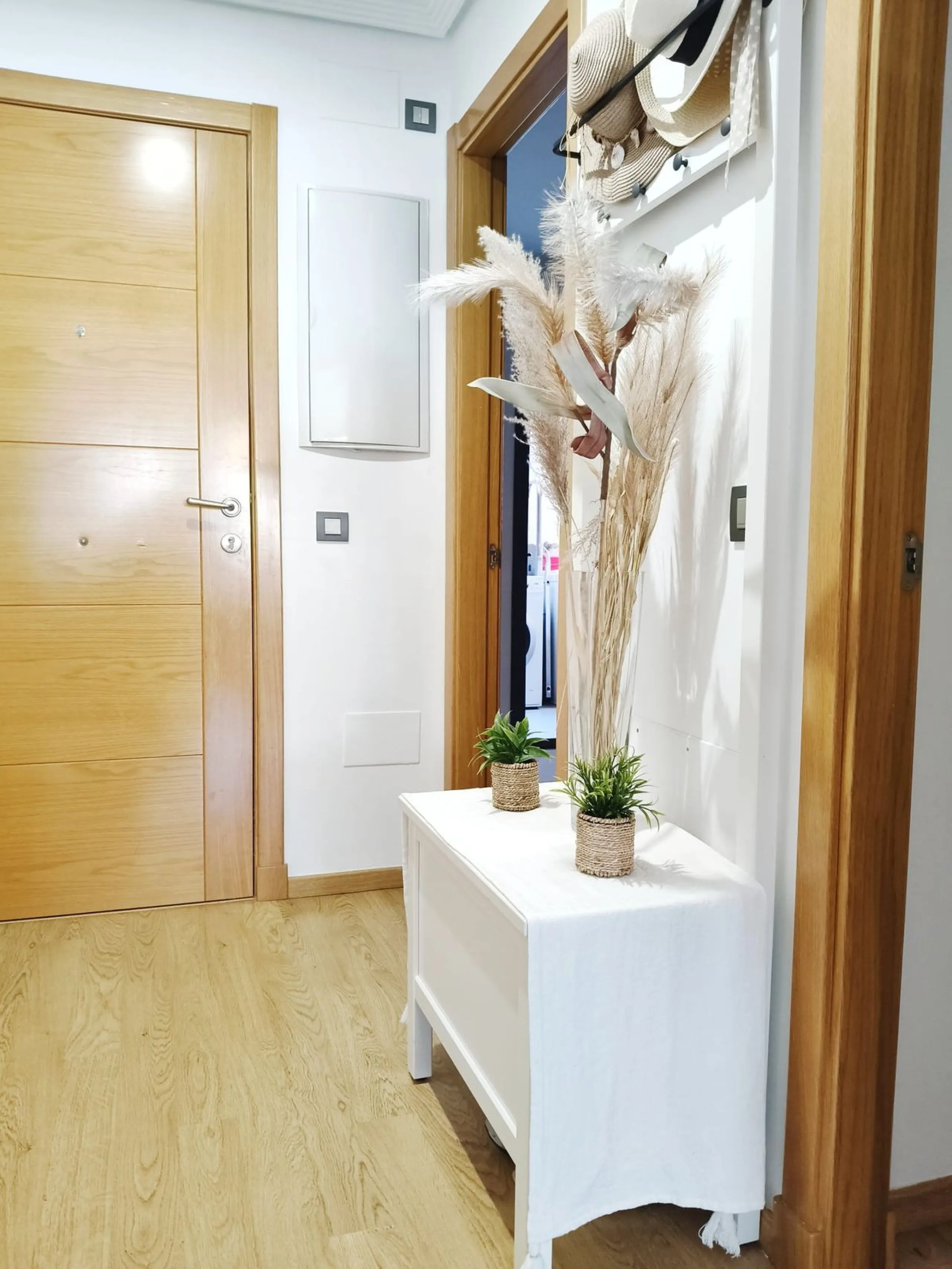 Middle Floor Apartment, Pacífico, Málaga Ciudad.
