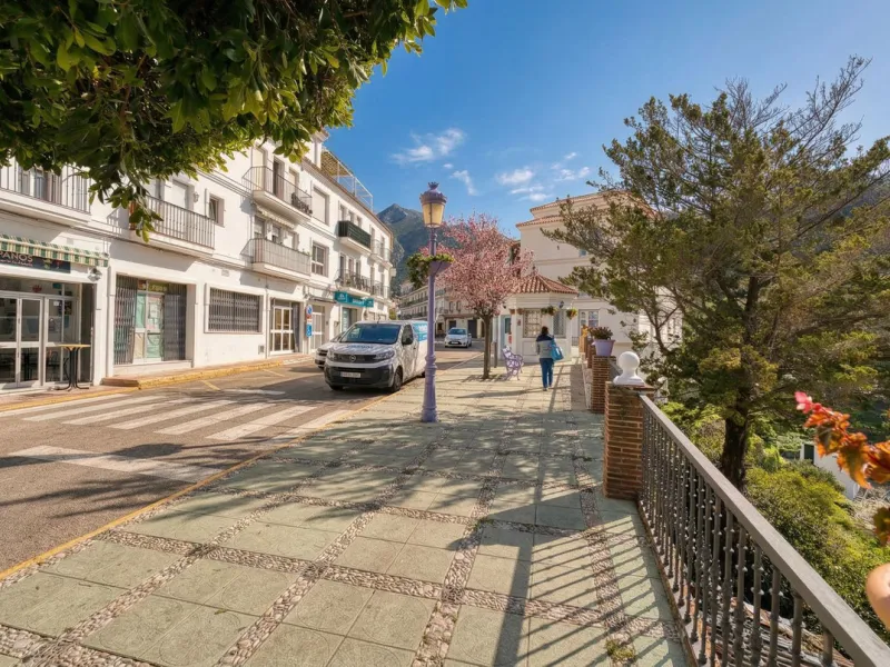 House - Detached Villa в продаже в Istán, Málaga. В доме 4 спален и 7 ванных комнат. Площадь дома 339 м². Площадь участка 410 м²