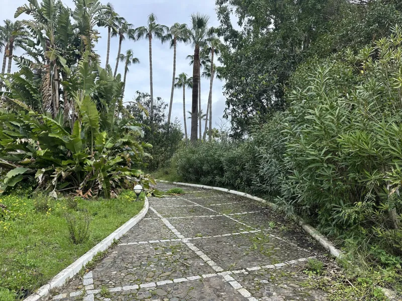 Plot - Residential Plot в продаже в Marbella, Málaga. Площадь участка 4259 м²