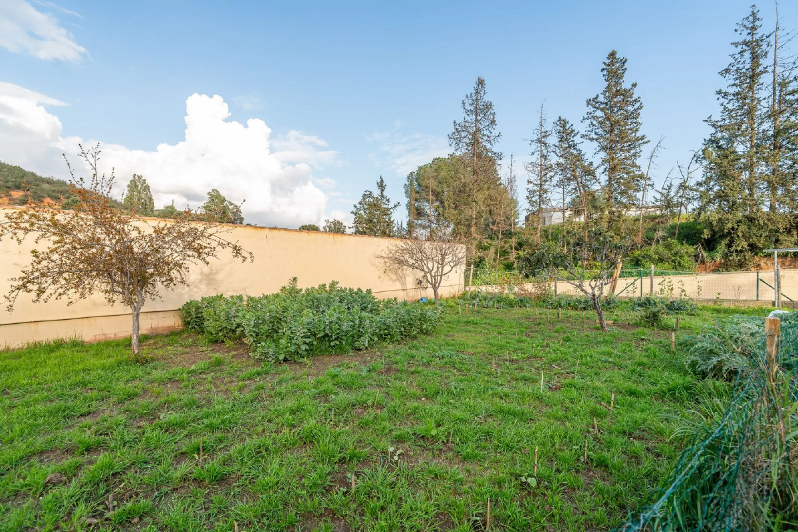 For sale: a property located in Río de las Pasadas – DS Atalaya, Mijas (Málaga) with an approximate plot size of 4,500 m², ideal for residential use, agricultural activity, or a rural project.