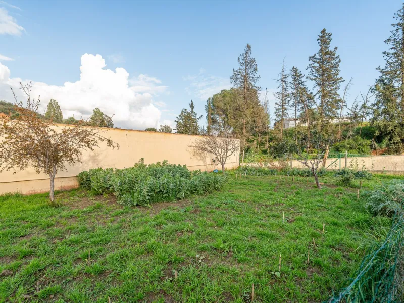 For sale: a property located in Río de las Pasadas – DS Atalaya, Mijas (Málaga) with an approximate plot size of 4,500 m², ideal for residential use, agricultural activity, or a rural project.