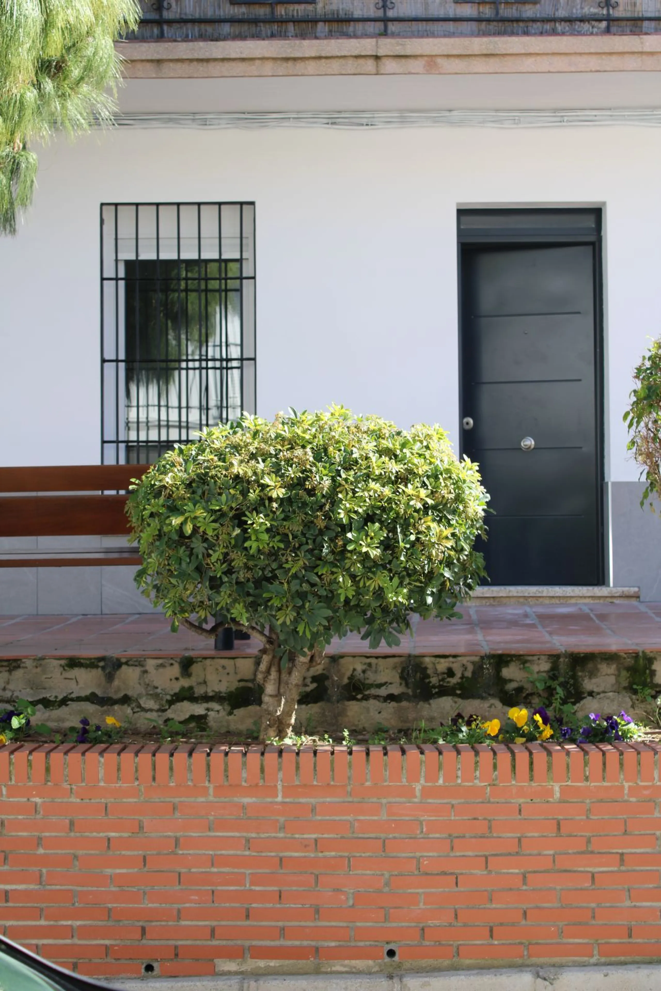 One-storey townhouse in the centre of the village of Alhaurín el Grande, located in the protected area of the historic centre on the "Calle Nueva" street, one of the main and most exclusive streets in the town, where the Holy Week processions parade passe