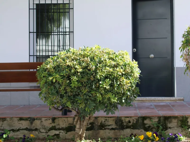 One-storey townhouse in the centre of the village of Alhaurín el Grande, located in the protected area of the historic centre on the "Calle Nueva" street, one of the main and most exclusive streets in the town, where the Holy Week processions parade passe