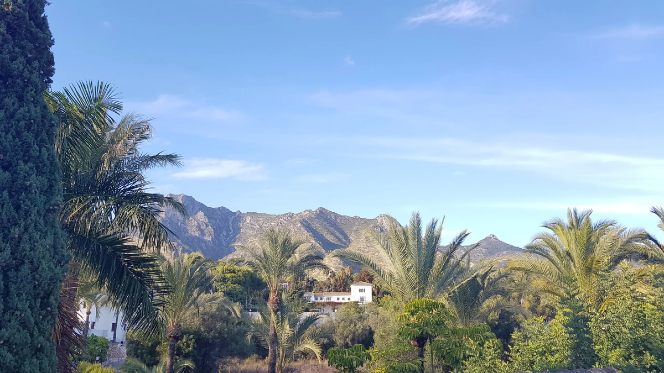 This comfortable and imposing property is located in the prestigious and secure community of Altos Reales with 24h security, manicured gardens, paddle courts and children's play area.