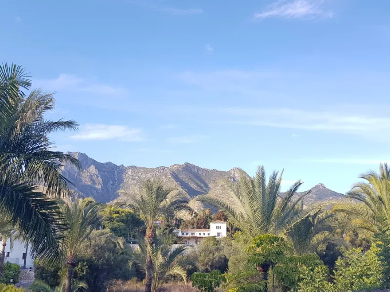 This comfortable and imposing property is located in the prestigious and secure community of Altos Reales with 24h security, manicured gardens, paddle courts and children's play area.
