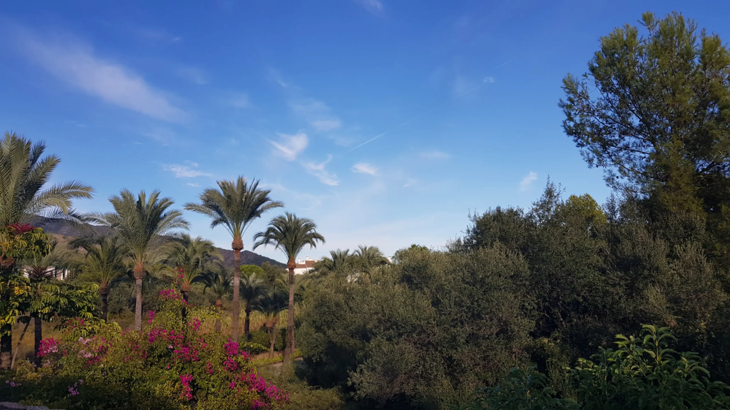 This comfortable and imposing property is located in the prestigious and secure community of Altos Reales with 24h security, manicured gardens, paddle courts and children's play area.