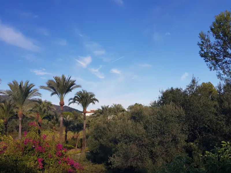 This comfortable and imposing property is located in the prestigious and secure community of Altos Reales with 24h security, manicured gardens, paddle courts and children's play area.