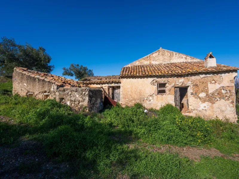 Imagine a place where time seems to stand still—a vast, quiet estate that breathes history in every corner. Two old houses in ruins rise gently from the land, their weathered walls worn by the years yet still standing strong, as if waiting for someone to 