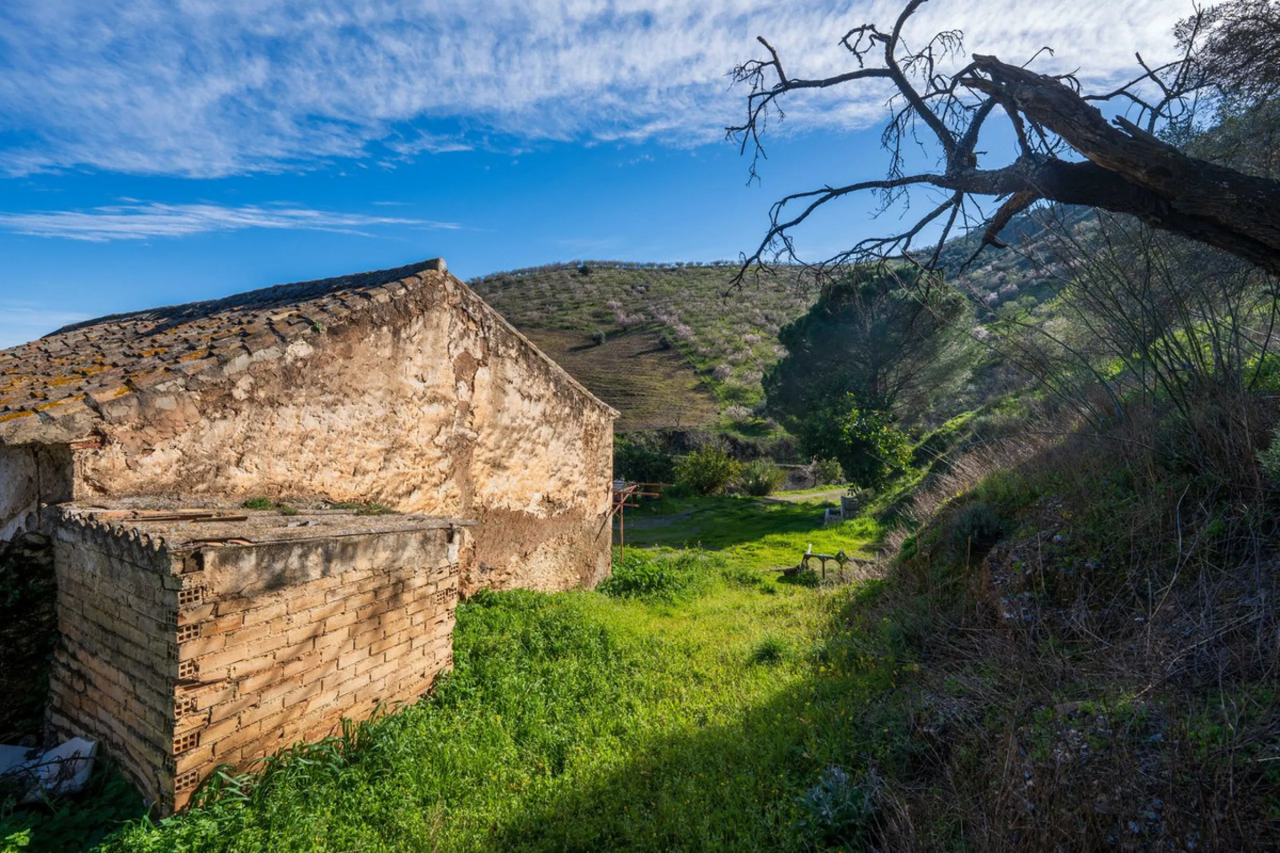 Imagine a place where time seems to stand still—a vast, quiet estate that breathes history in every corner. Two old houses in ruins rise gently from the land, their weathered walls worn by the years yet still standing strong, as if waiting for someone to 