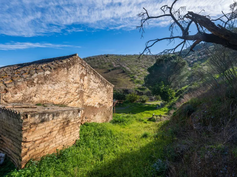 Imagine a place where time seems to stand still—a vast, quiet estate that breathes history in every corner. Two old houses in ruins rise gently from the land, their weathered walls worn by the years yet still standing strong, as if waiting for someone to 