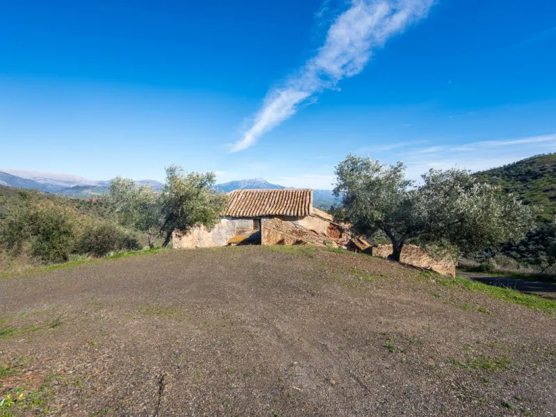 Imagine a place where time seems to stand still—a vast, quiet estate that breathes history in every corner. Two old houses in ruins rise gently from the land, their weathered walls worn by the years yet still standing strong, as if waiting for someone to 