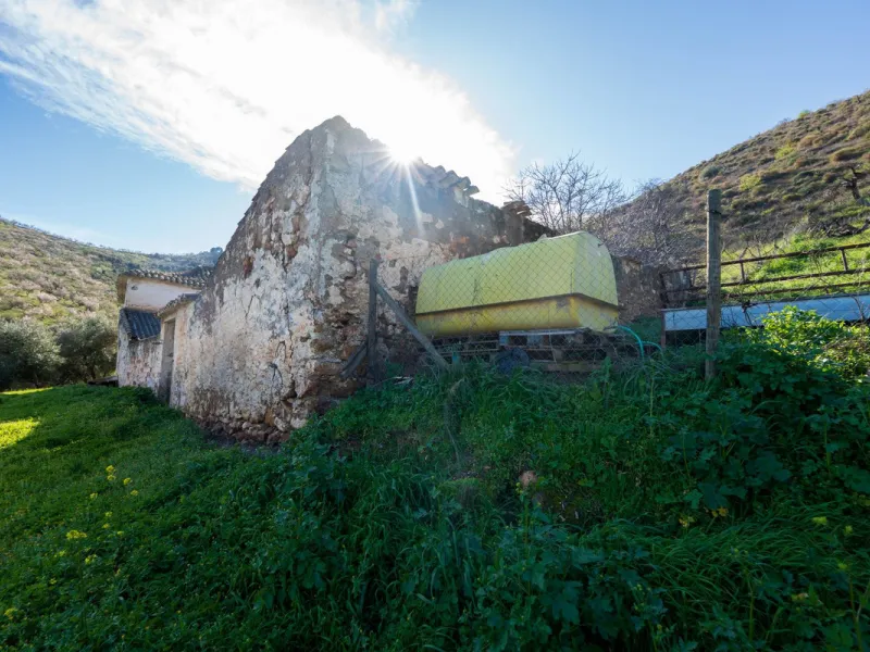 Imagine a place where time seems to stand still—a vast, quiet estate that breathes history in every corner. Two old houses in ruins rise gently from the land, their weathered walls worn by the years yet still standing strong, as if waiting for someone to 