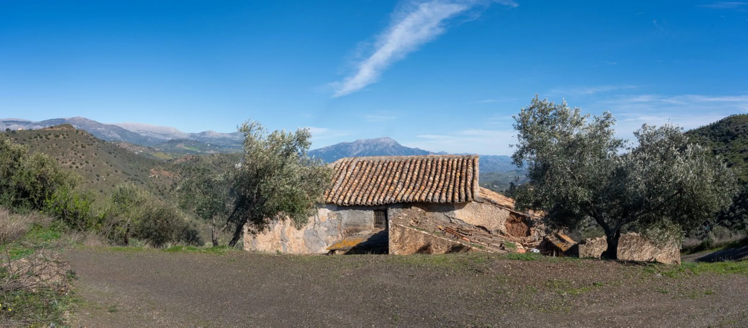 Imagine a place where time seems to stand still—a vast, quiet estate that breathes history in every corner. Two old houses in ruins rise gently from the land, their weathered walls worn by the years yet still standing strong, as if waiting for someone to 