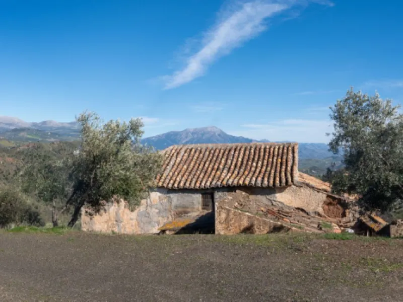 Imagine a place where time seems to stand still—a vast, quiet estate that breathes history in every corner. Two old houses in ruins rise gently from the land, their weathered walls worn by the years yet still standing strong, as if waiting for someone to 