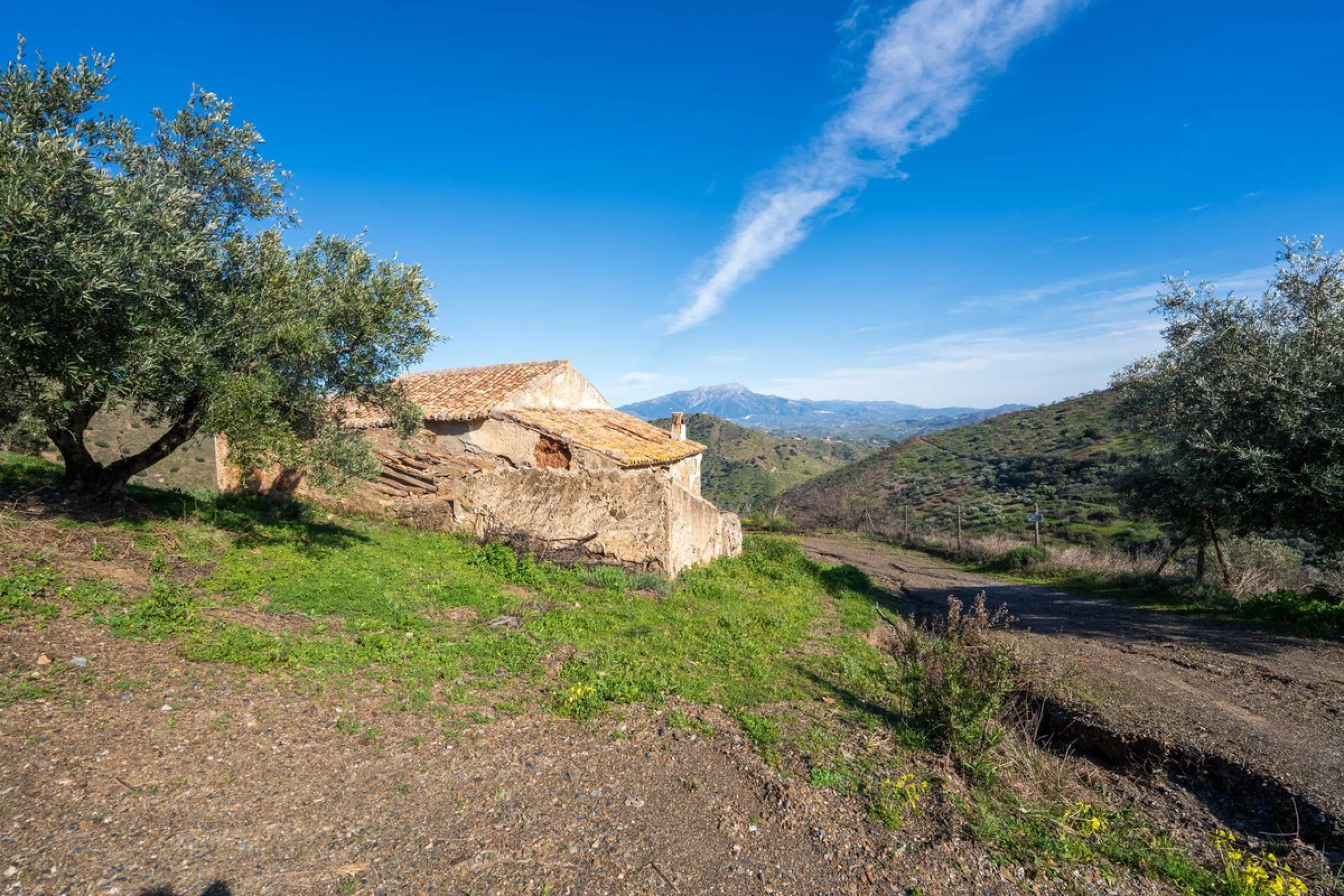 Imagine a place where time seems to stand still—a vast, quiet estate that breathes history in every corner. Two old houses in ruins rise gently from the land, their weathered walls worn by the years yet still standing strong, as if waiting for someone to 