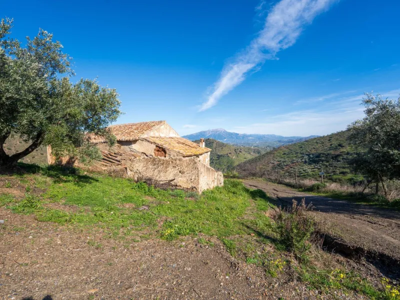 Imagine a place where time seems to stand still—a vast, quiet estate that breathes history in every corner. Two old houses in ruins rise gently from the land, their weathered walls worn by the years yet still standing strong, as if waiting for someone to 