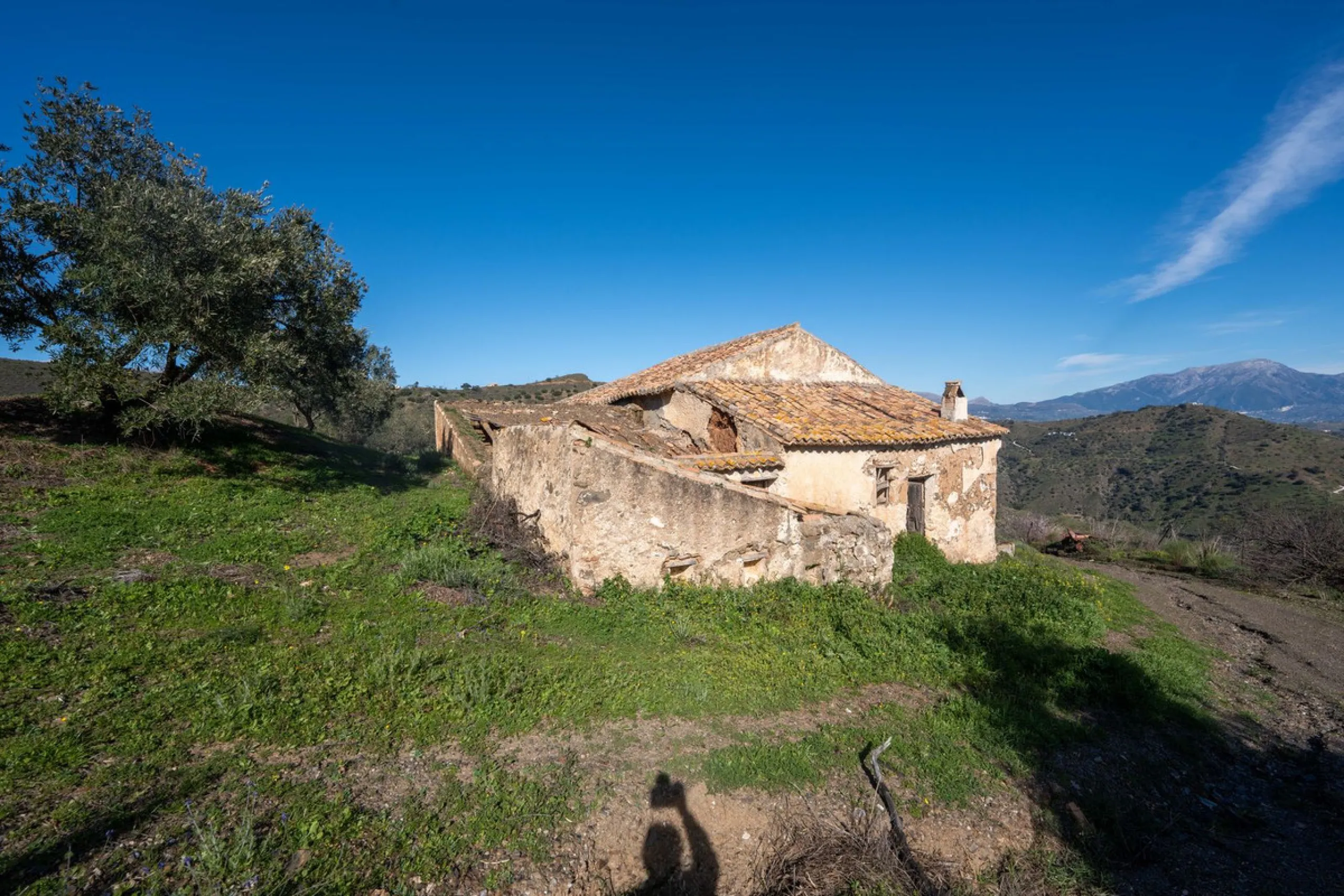 Imagine a place where time seems to stand still—a vast, quiet estate that breathes history in every corner. Two old houses in ruins rise gently from the land, their weathered walls worn by the years yet still standing strong, as if waiting for someone to 