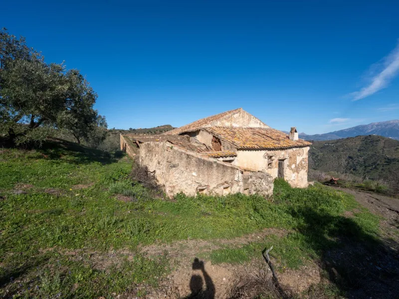 Imagine a place where time seems to stand still—a vast, quiet estate that breathes history in every corner. Two old houses in ruins rise gently from the land, their weathered walls worn by the years yet still standing strong, as if waiting for someone to 