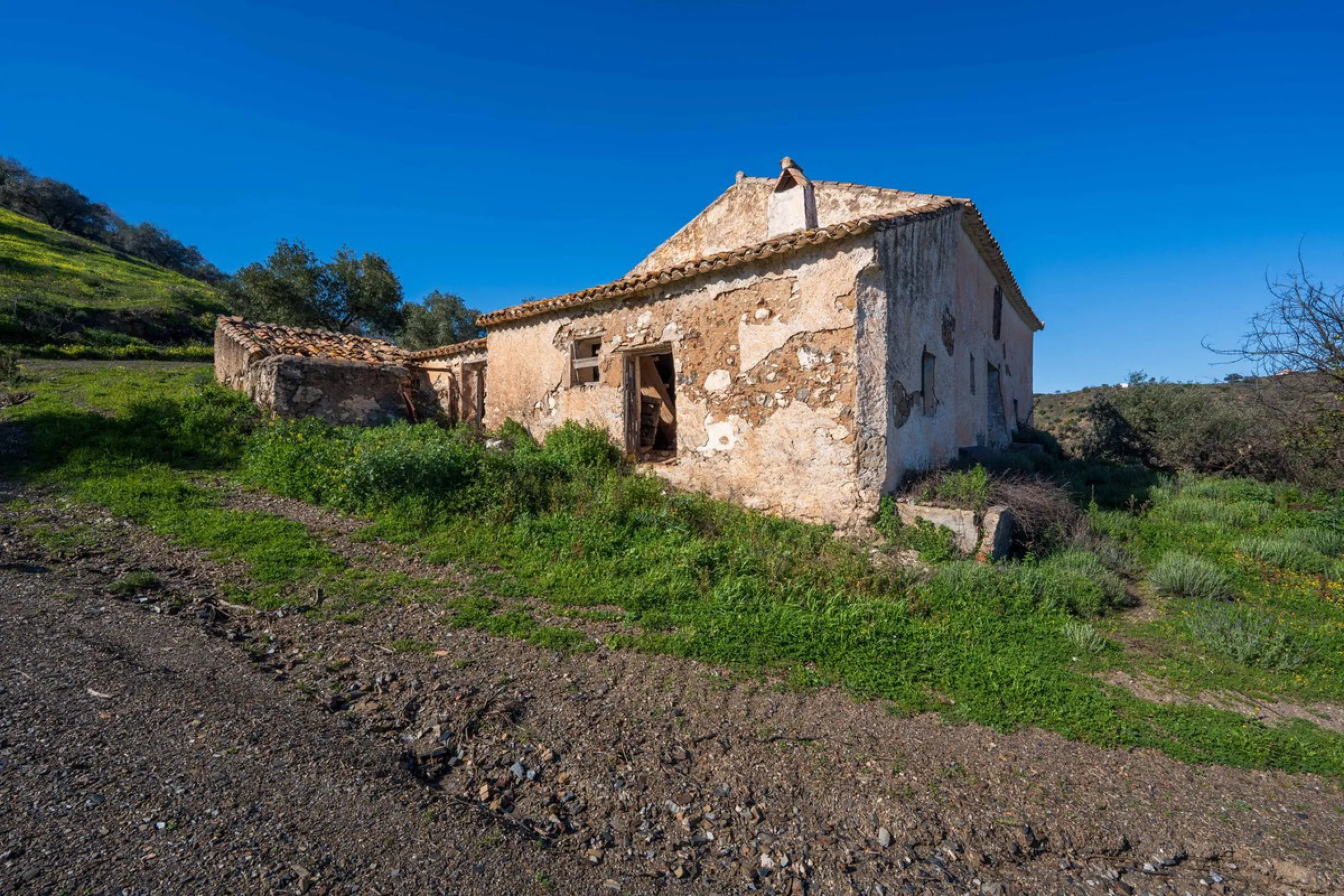 Imagine a place where time seems to stand still—a vast, quiet estate that breathes history in every corner. Two old houses in ruins rise gently from the land, their weathered walls worn by the years yet still standing strong, as if waiting for someone to 