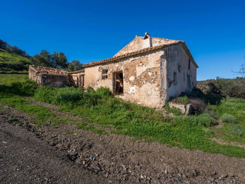 Imagine a place where time seems to stand still—a vast, quiet estate that breathes history in every corner. Two old houses in ruins rise gently from the land, their weathered walls worn by the years yet still standing strong, as if waiting for someone to 